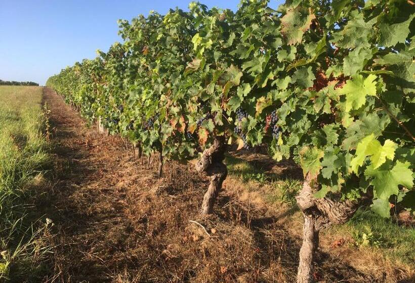 住宿加早餐  Manoir De Jouralem