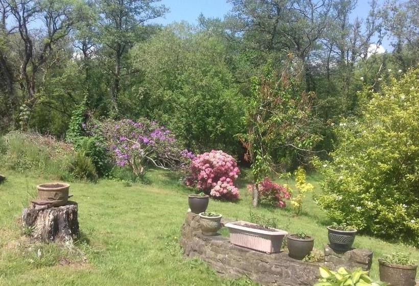 Hills Farm B&b Laugharne