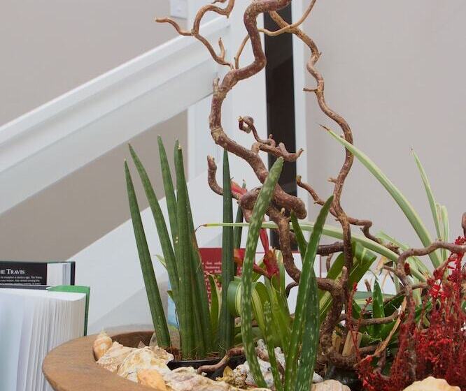 فندق Mcmunns Of Ballybunion