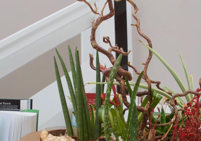 فندق Mcmunns Of Ballybunion