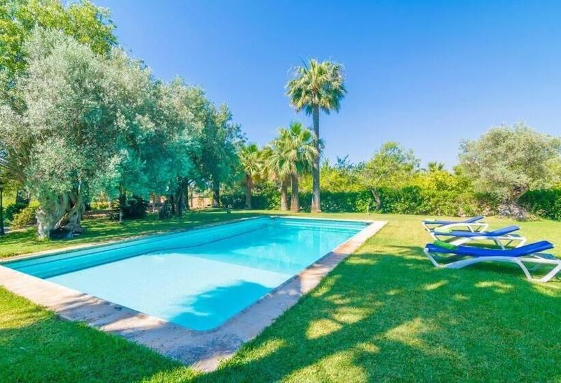 膳宿费 Agroturismo Finca Son Amora