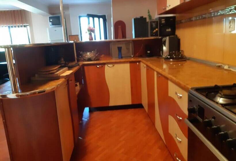 ペンション Casa Flavius