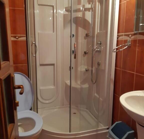 ペンション Casa Flavius