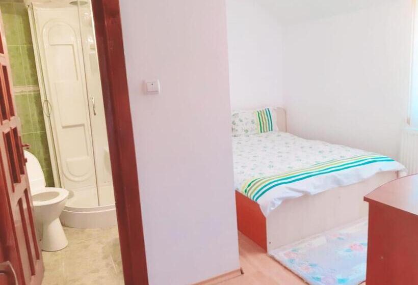 ペンション Casa Flavius