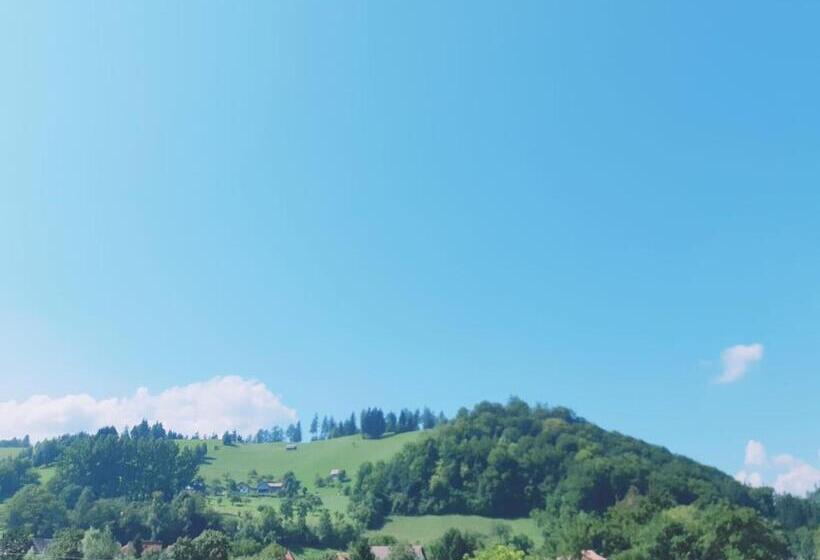 ペンション Casa Flavius