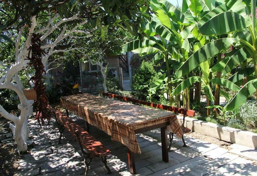 پانسیون Guest House Atlant