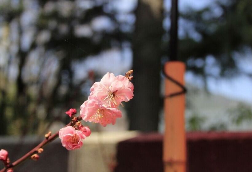 پانسیون Samurai Guest House