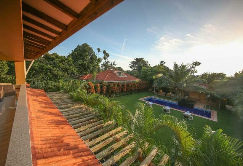 No 5 Boutique Hotel Limited