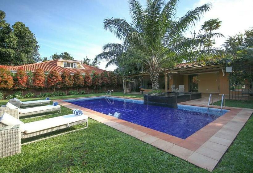 No 5 Boutique Hotel Limited