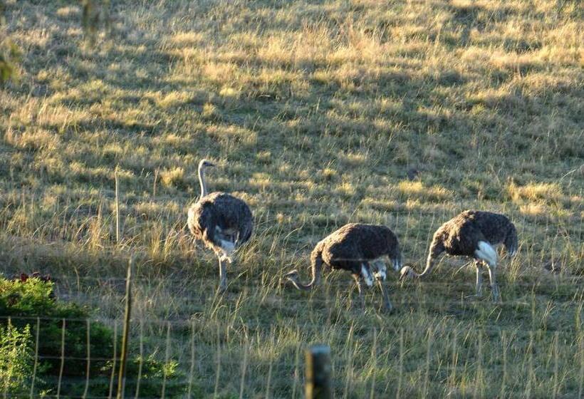 ホテル Oppieplaas Self Catering Country Cottage