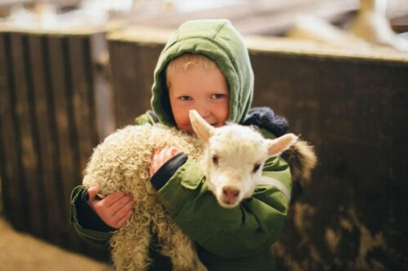 هتل Skalakot Manor