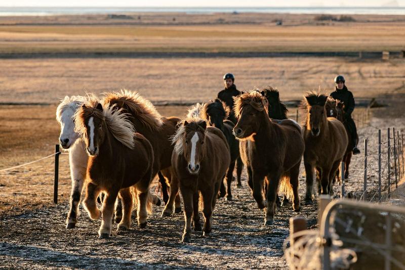 هتل Skalakot Manor