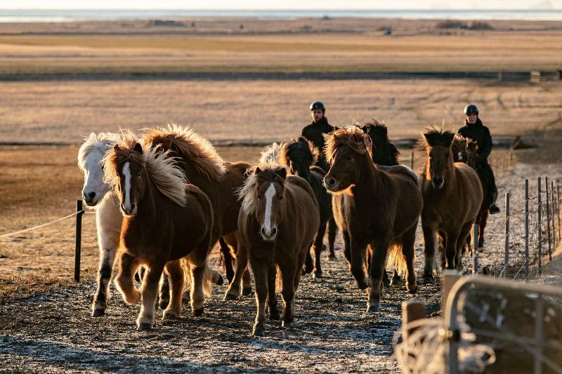 هتل Skalakot Manor