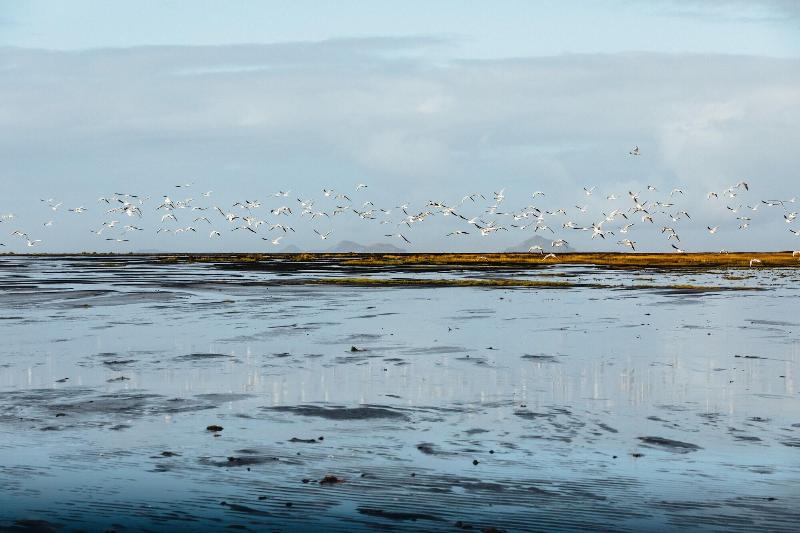 هتل Skalakot Manor