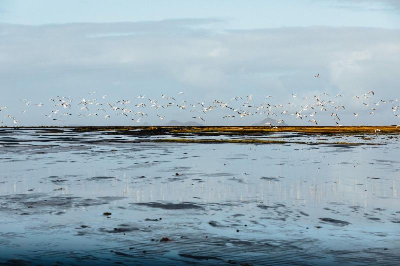 هتل Skalakot Manor