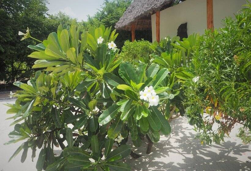 هتل Tikitam Palms Boutique