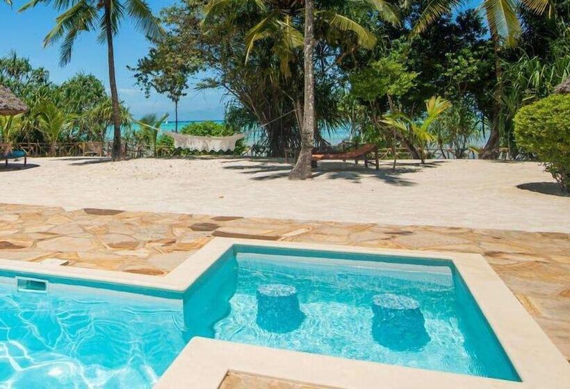 هتل Tikitam Palms Boutique