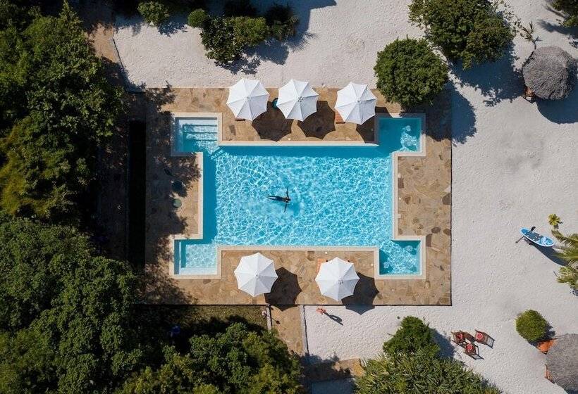 هتل Tikitam Palms Boutique