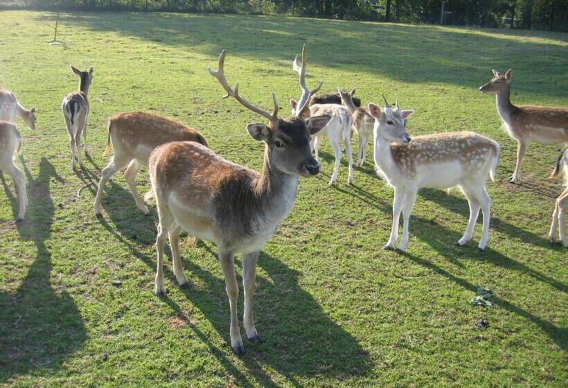 فندق Zenntaler Hof