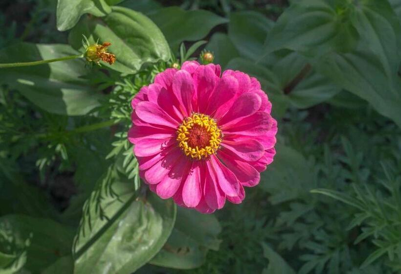 Общежитие Hostería Municipal De Angastaco