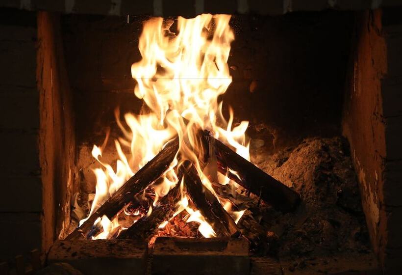 فندق صغير Schatzi Lodge