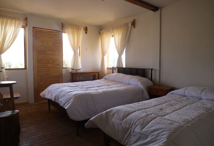 فندق صغير Schatzi Lodge
