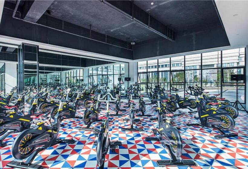 Отель Howard Johnson New District Plaza Ziyang