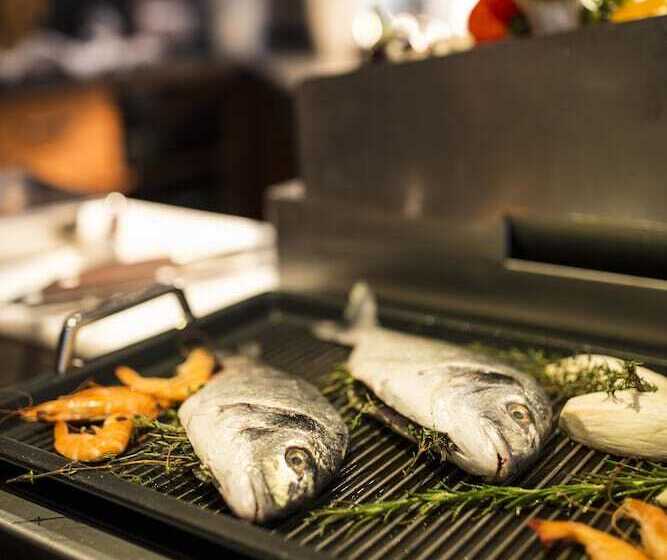 Отель Meiser Design