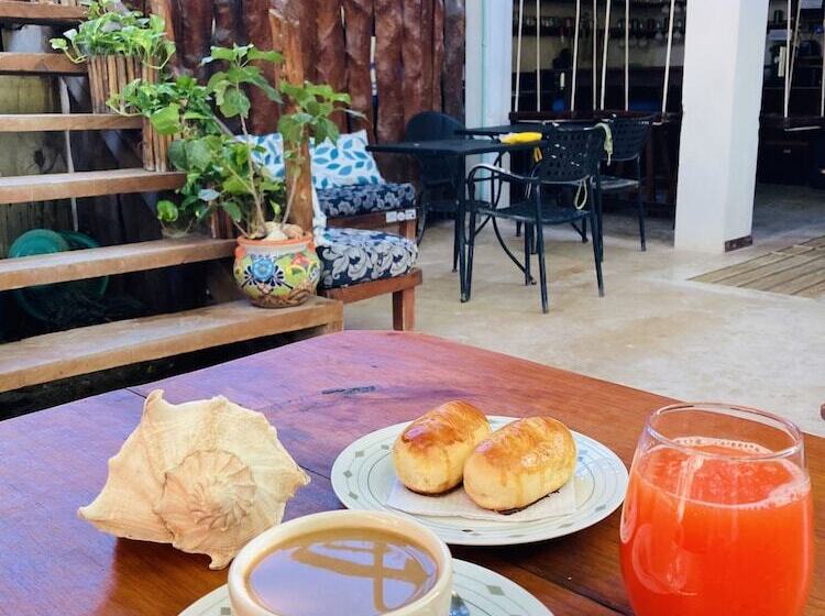 ペンション Hostal Holbox Hostel & Private Apartments