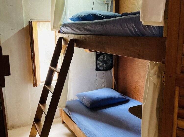 ペンション Hostal Holbox Hostel & Private Apartments