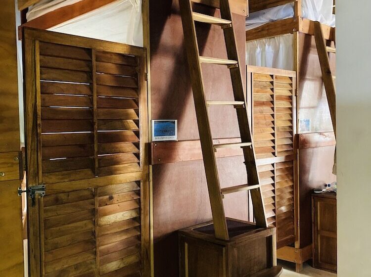 ペンション Hostal Holbox Hostel & Private Apartments