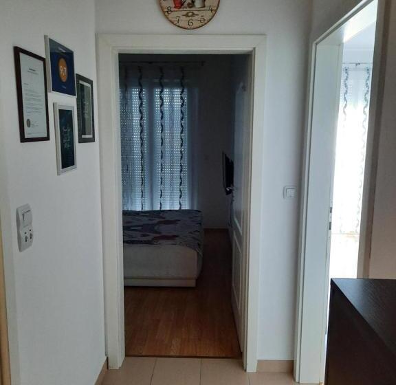 پانسیون Omega