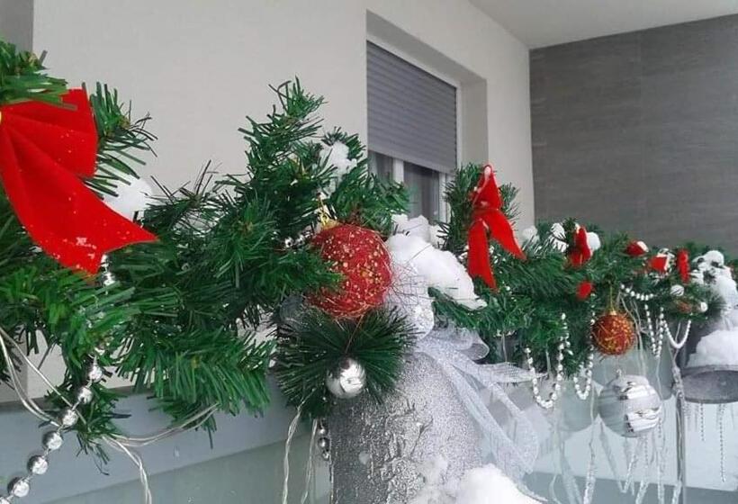 پانسیون Omega