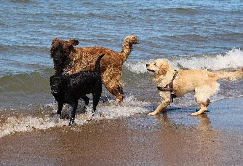 Resort Faro Di Punta Fenaio