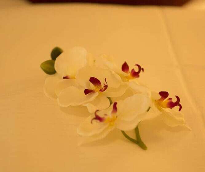 ユースホステル Gasthaus Schwarzer Adler