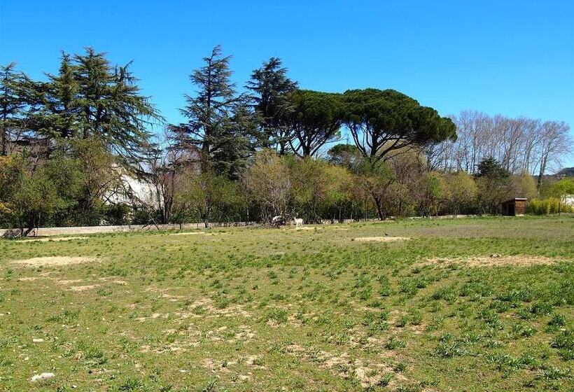 Bed and Breakfast Domaine Shambala   Maison D Hôte En Provence   Piscine Chauffée