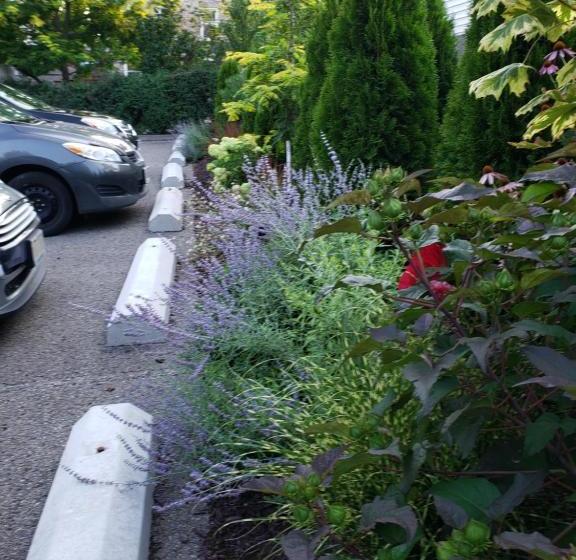 Green Door B&b Brockville