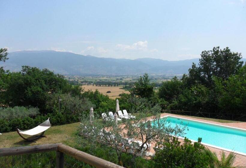 호텔 Agriturismo Il Poggiolo