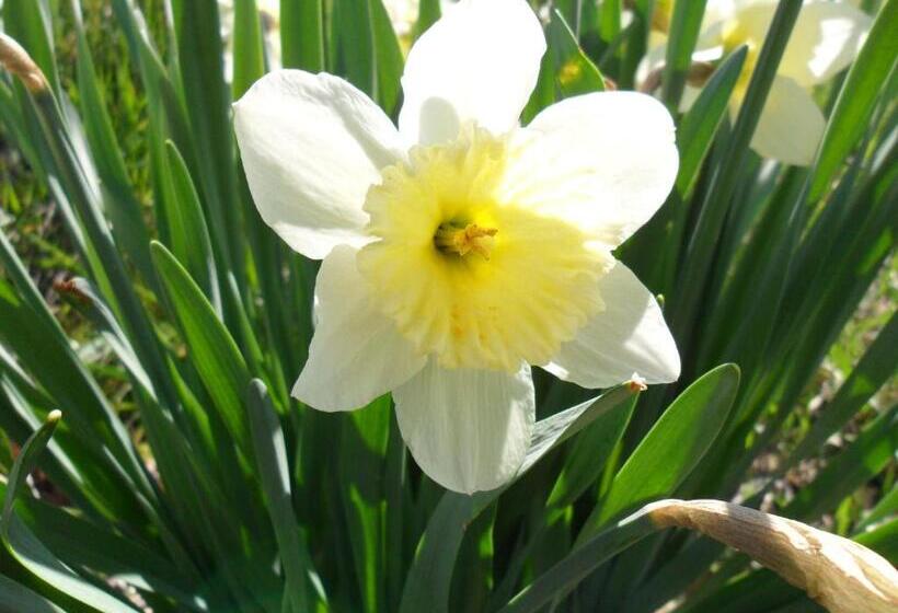 호텔 Agriturismo Il Poggiolo