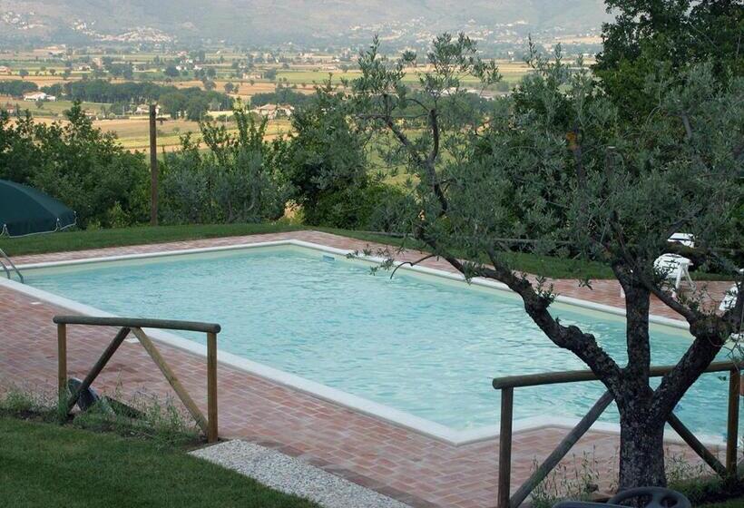 호텔 Agriturismo Il Poggiolo