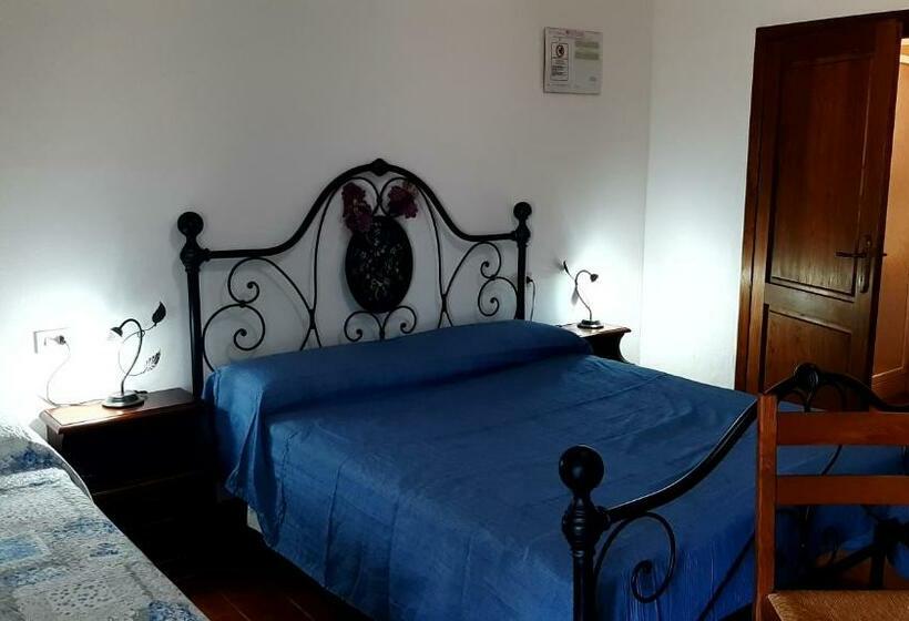 בית מלון כפרי Agriturismo Uliveto Gretacci