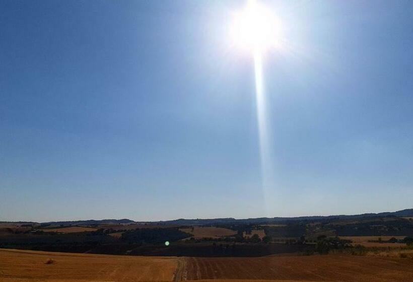 בית מלון כפרי Agriturismo Uliveto Gretacci