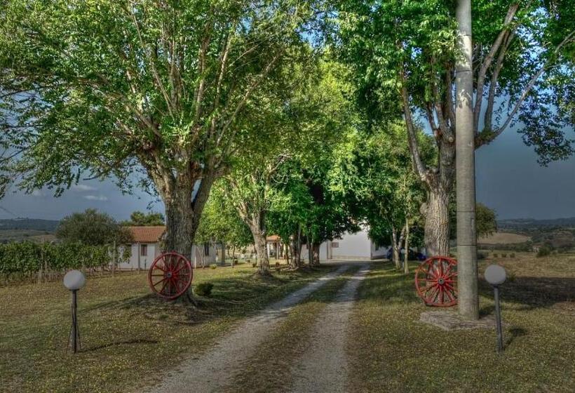 فندق Agriturismo Uliveto Gretacci