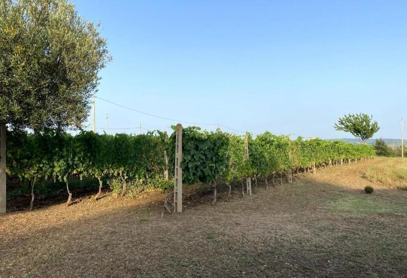 בית מלון כפרי Agriturismo Uliveto Gretacci