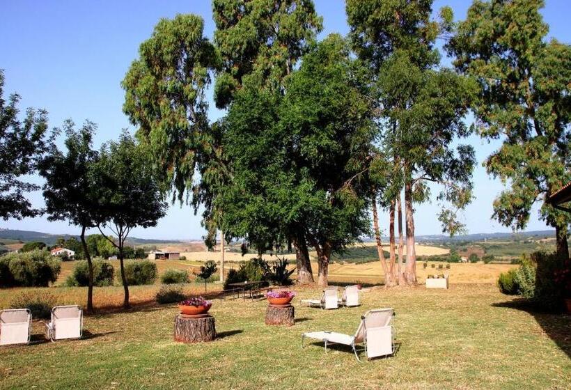 בית מלון כפרי Agriturismo Uliveto Gretacci