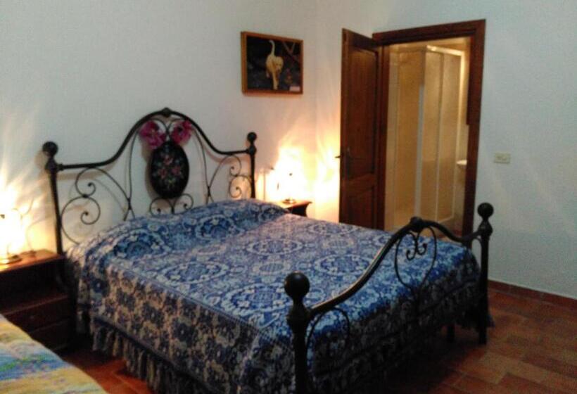 בית מלון כפרי Agriturismo Uliveto Gretacci