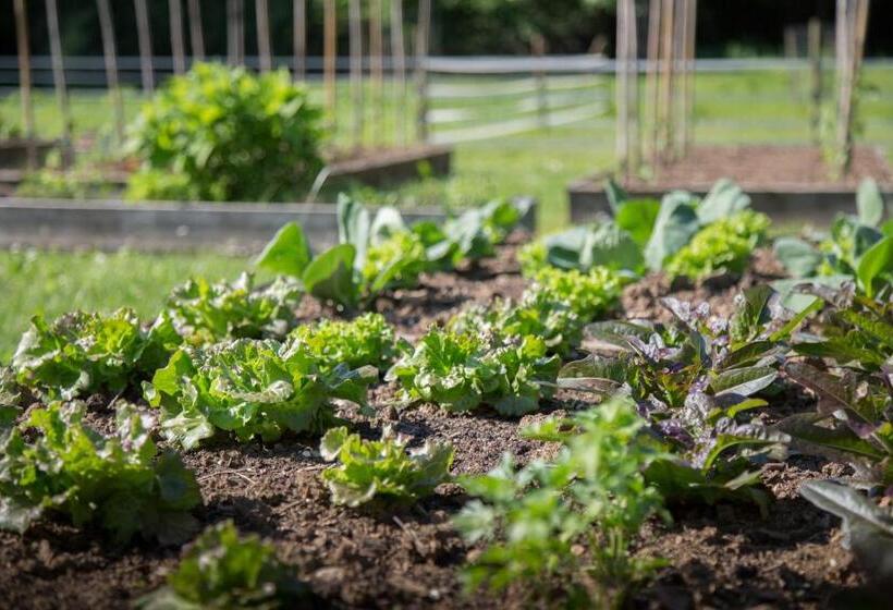 Отель La Collina Delle Mignole