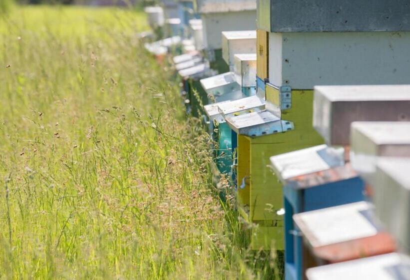 Отель La Collina Delle Mignole