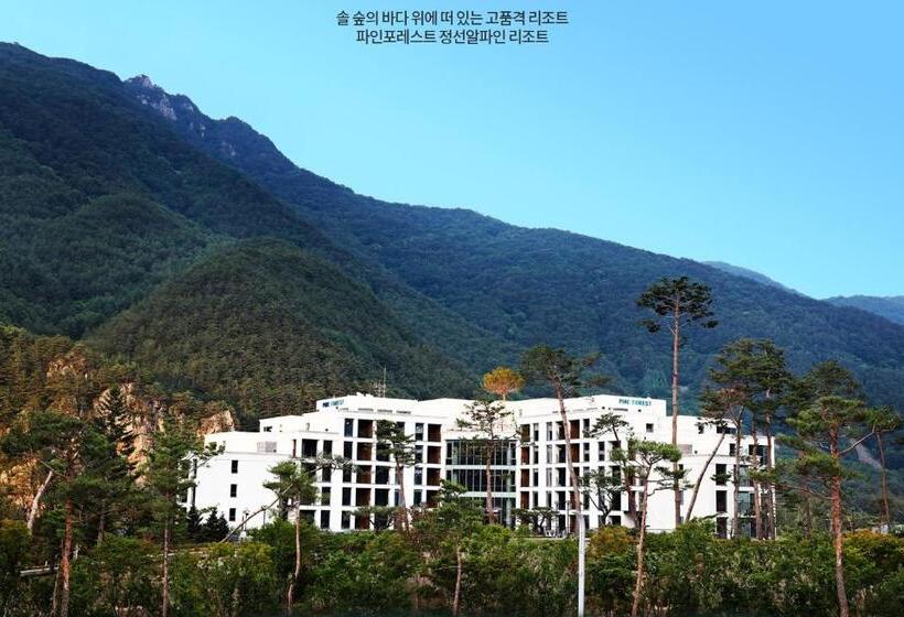 בית מלון כפרי Pine Forest Jeongseon Alpine Resort