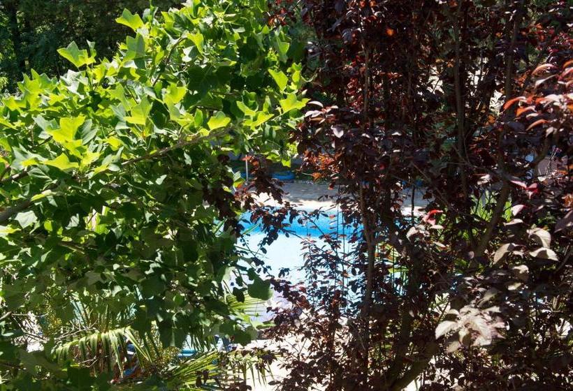 پانسیون Guest House Milicevic